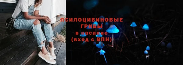 прущие грибы Абаза