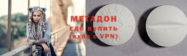 прущие грибы Абаза