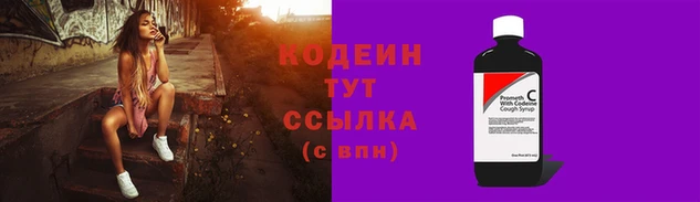 прущие грибы Абаза