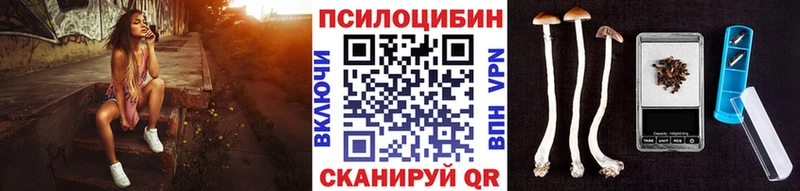 Псилоцибиновые грибы мицелий  Зея 